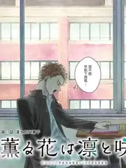 声场计划综艺高清剧照